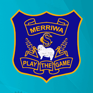 Merriwa School - Play the game