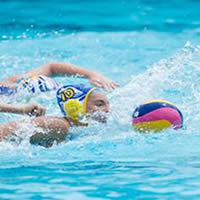 Water Polo Qld